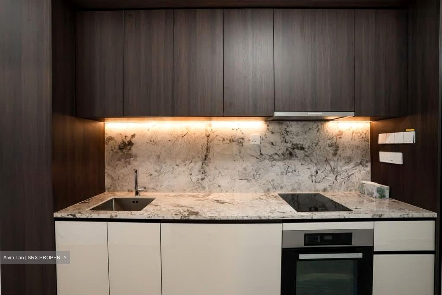 Tembusu Grand (D15), Condominium #617686061